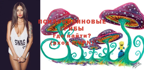 ECSTASY Кулебаки