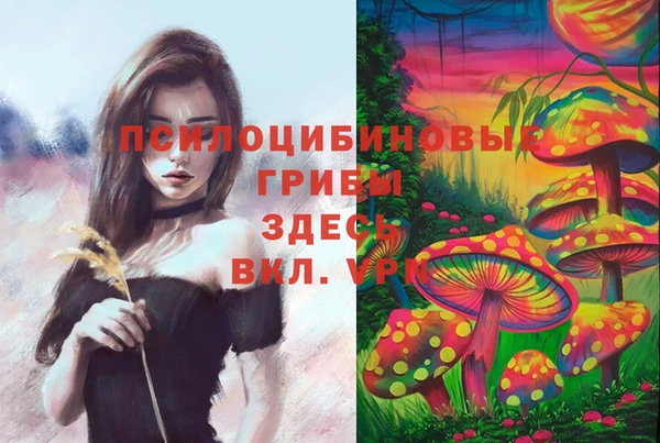 ECSTASY Кулебаки